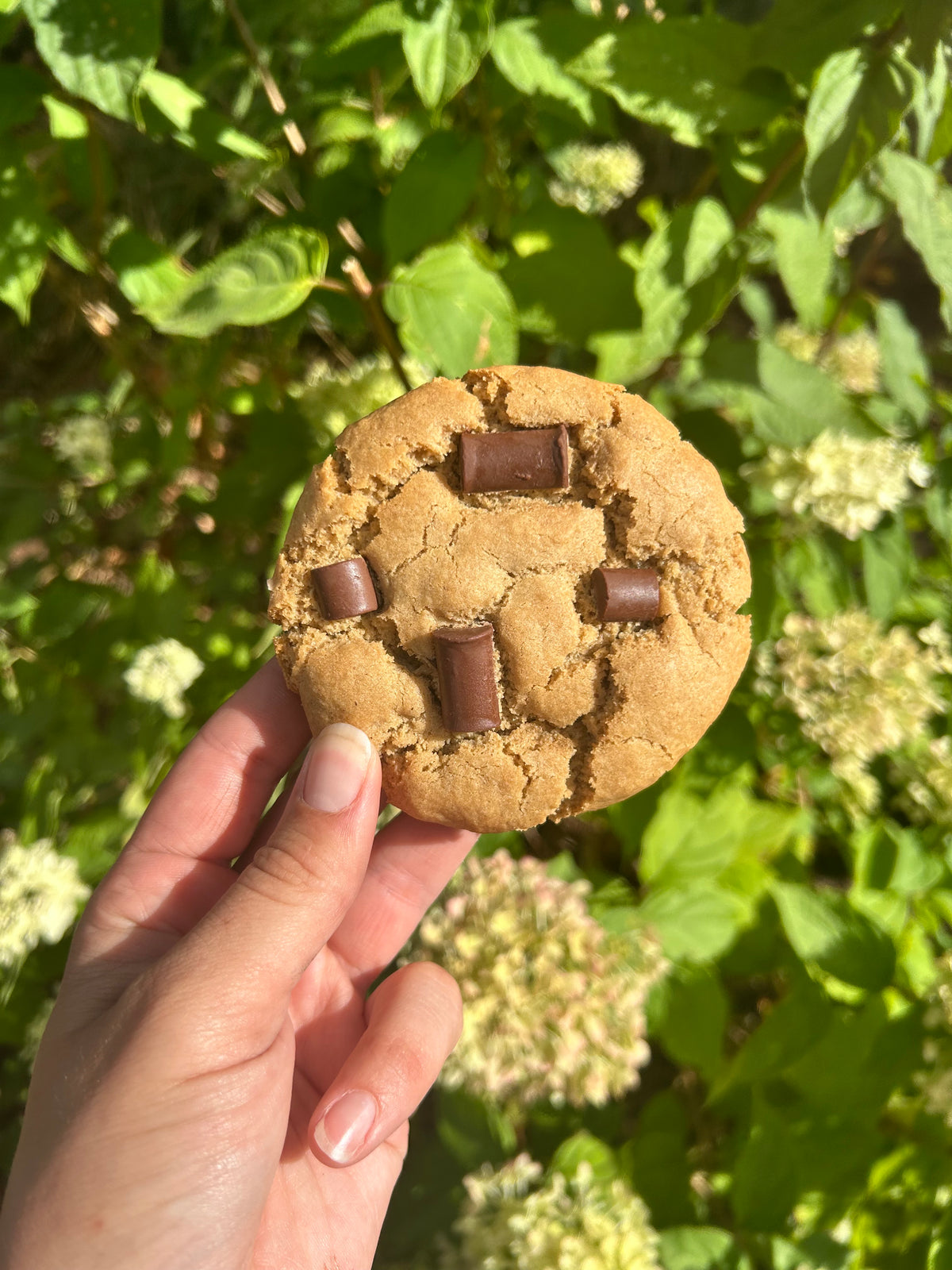 Gluten Free and Vegan Chocolate Chip