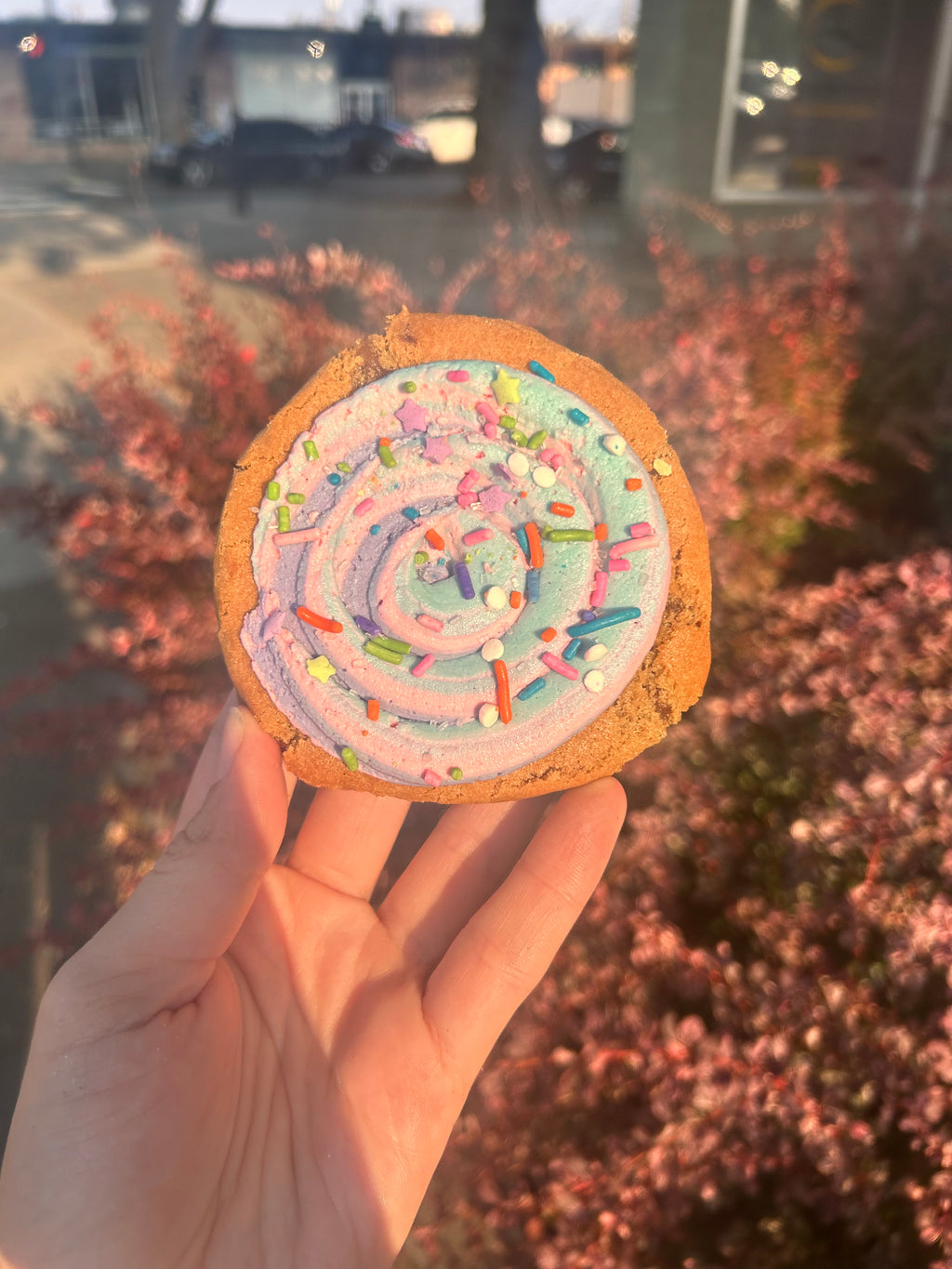 (Pickup only) Tye-Dye Day Dream