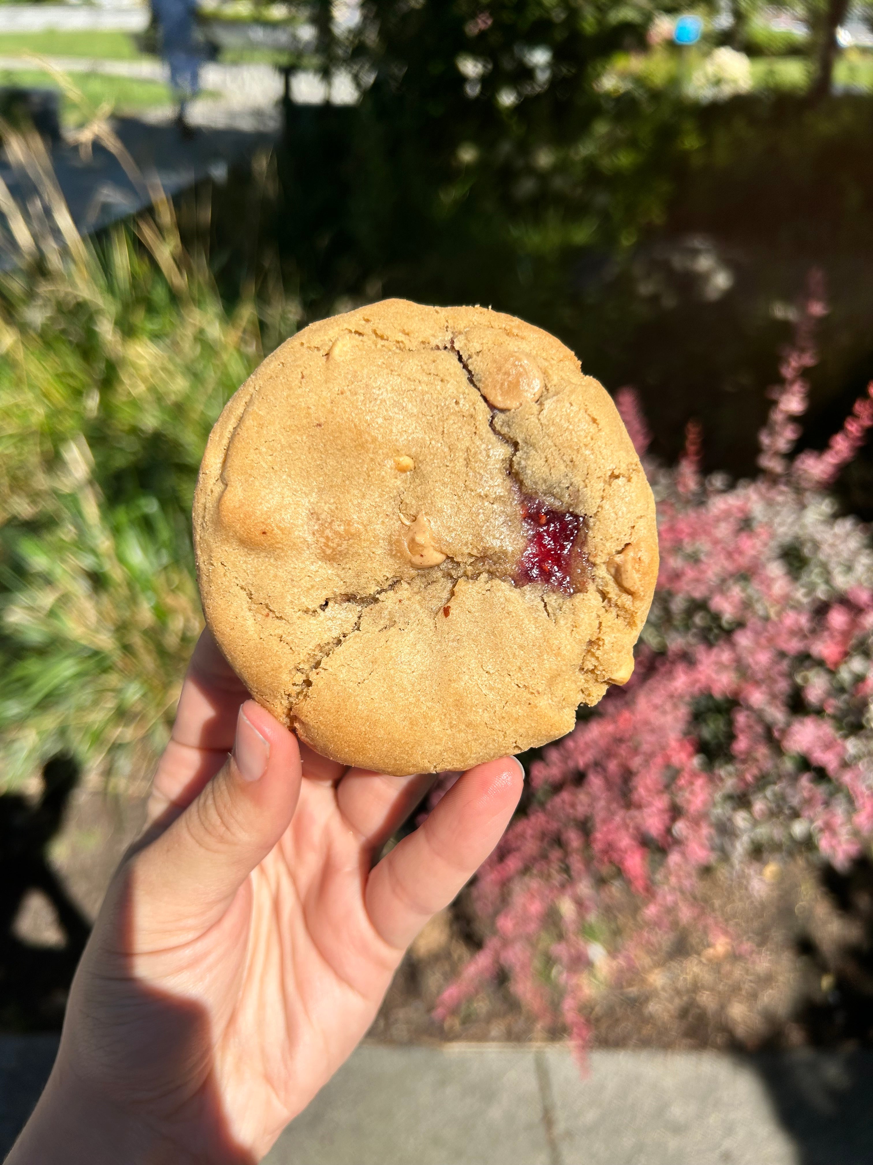 Peanut Butter & Jelly (Raspberry)