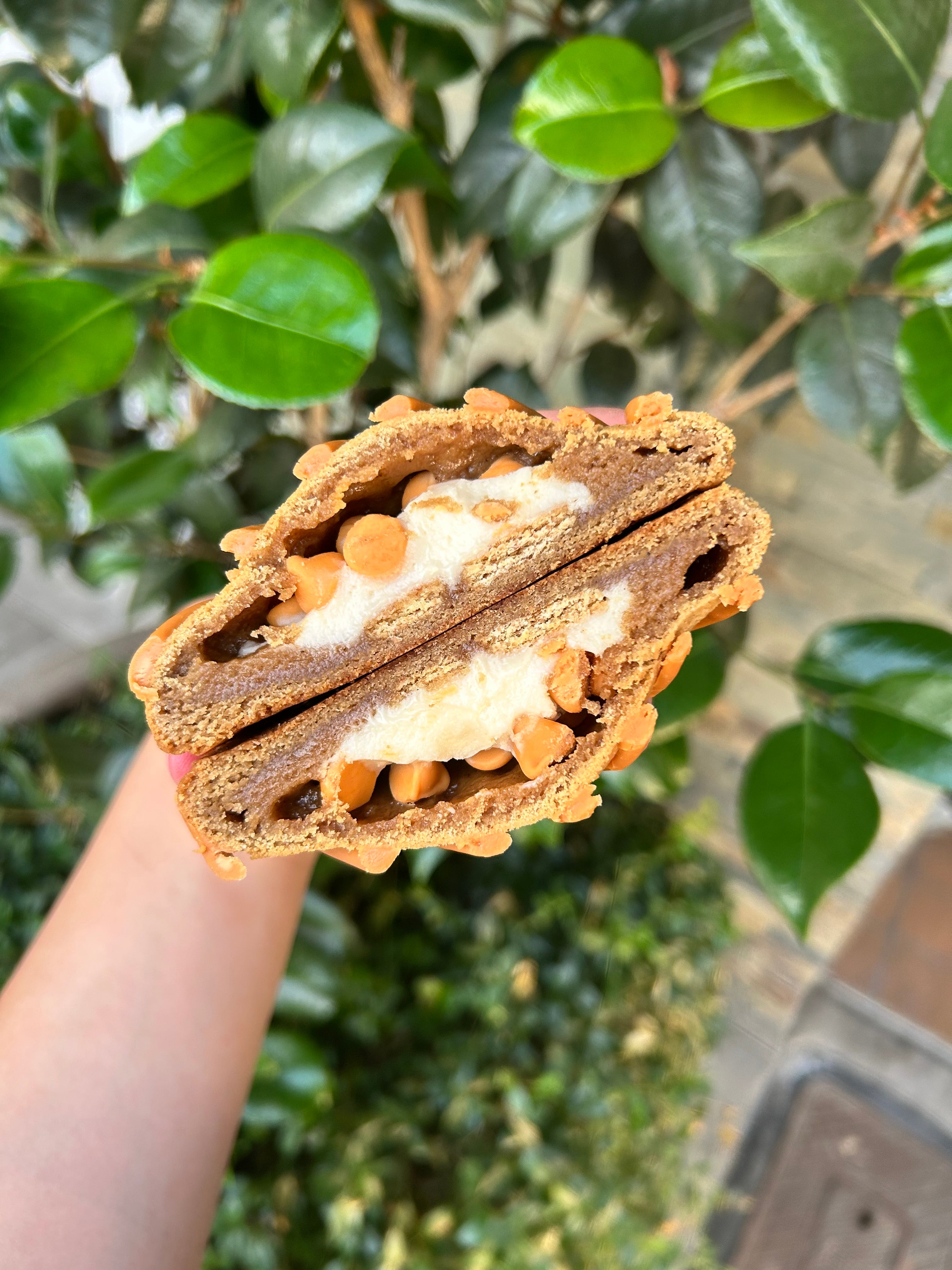 (For Pickup Only) Butterscotch Cheesecake