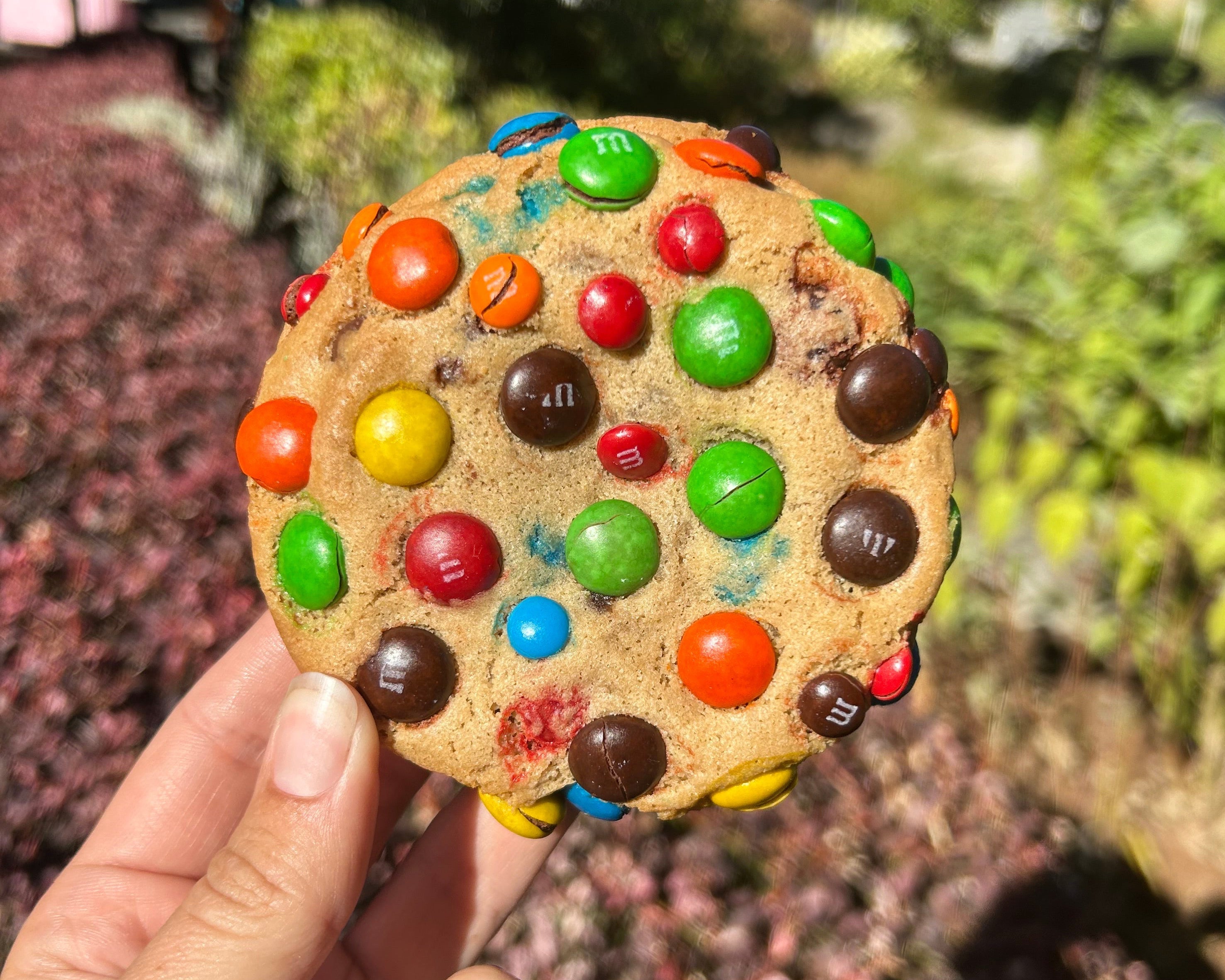 M&M cookie