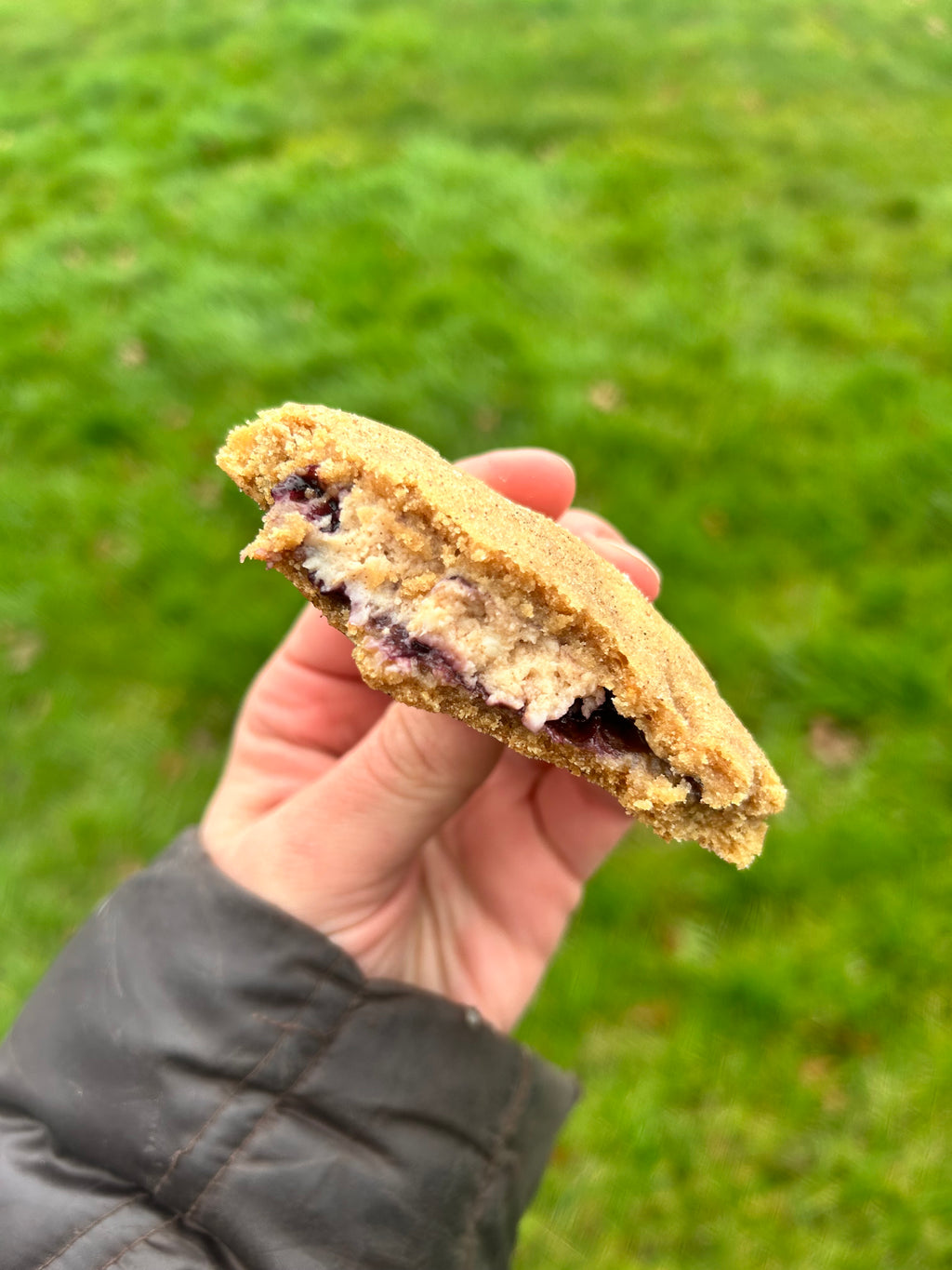(Pickup only!) Blueberry Cheesecake Stuffed Snickerdoodle