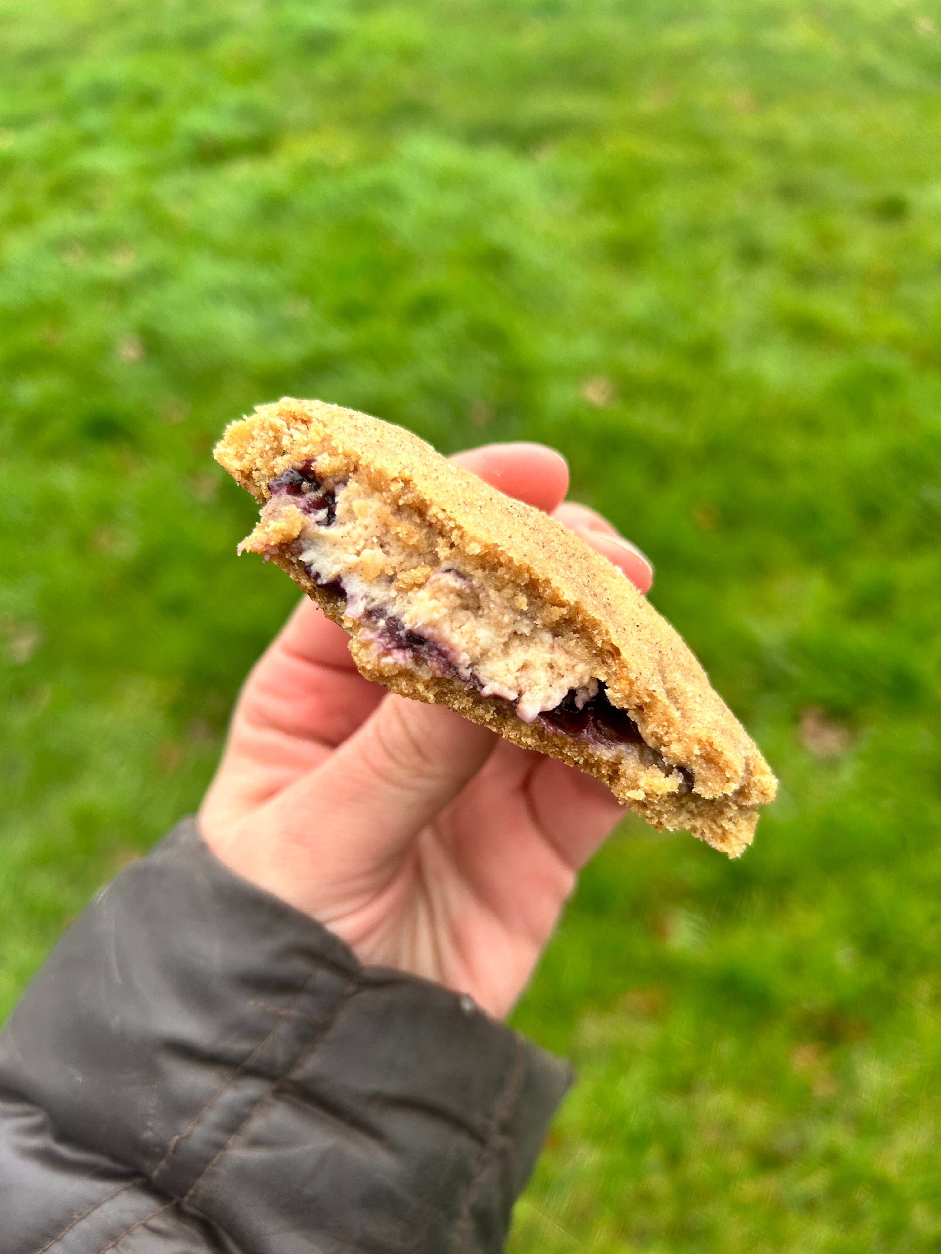 Blueberry Cheesecake Stuffed Snickerdoodle