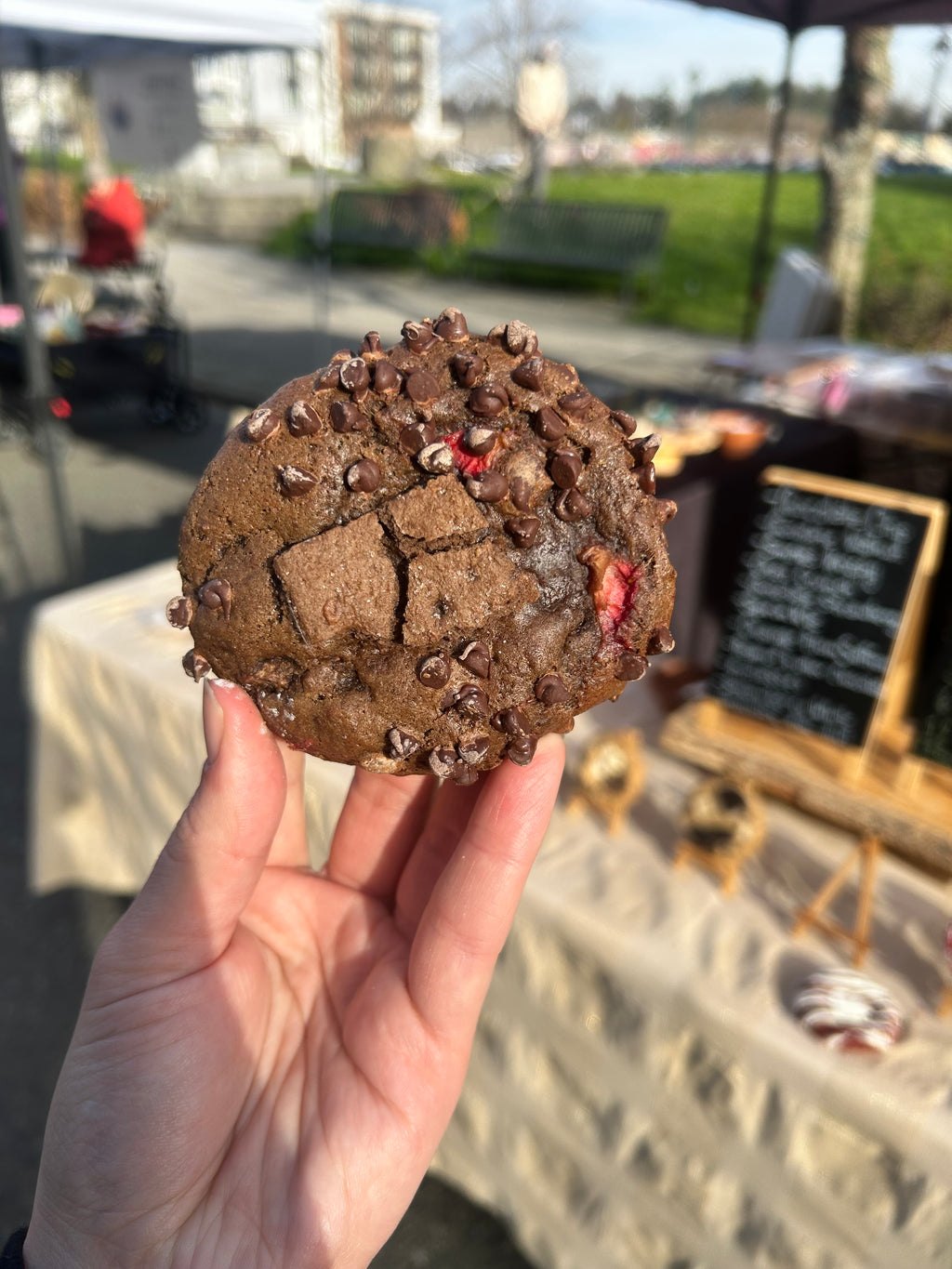 Chocolate Covered Strawberry