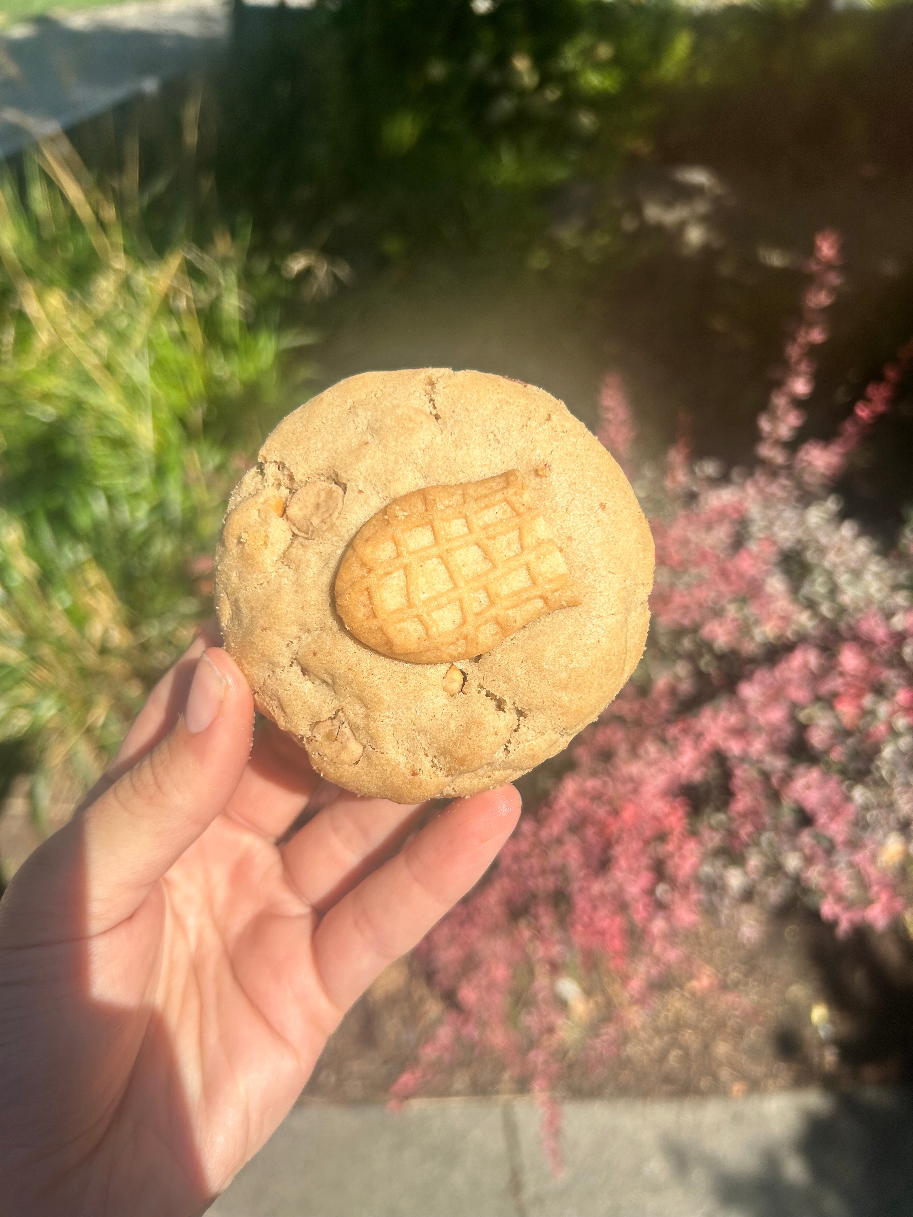 Peanut Butter Nutty Buddy