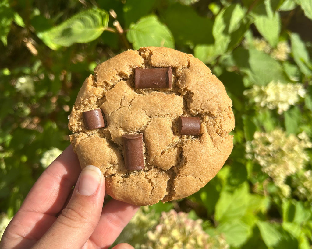 Gluten Free and Vegan Chocolate Chip