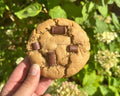 Gluten Free and Vegan Chocolate Chip