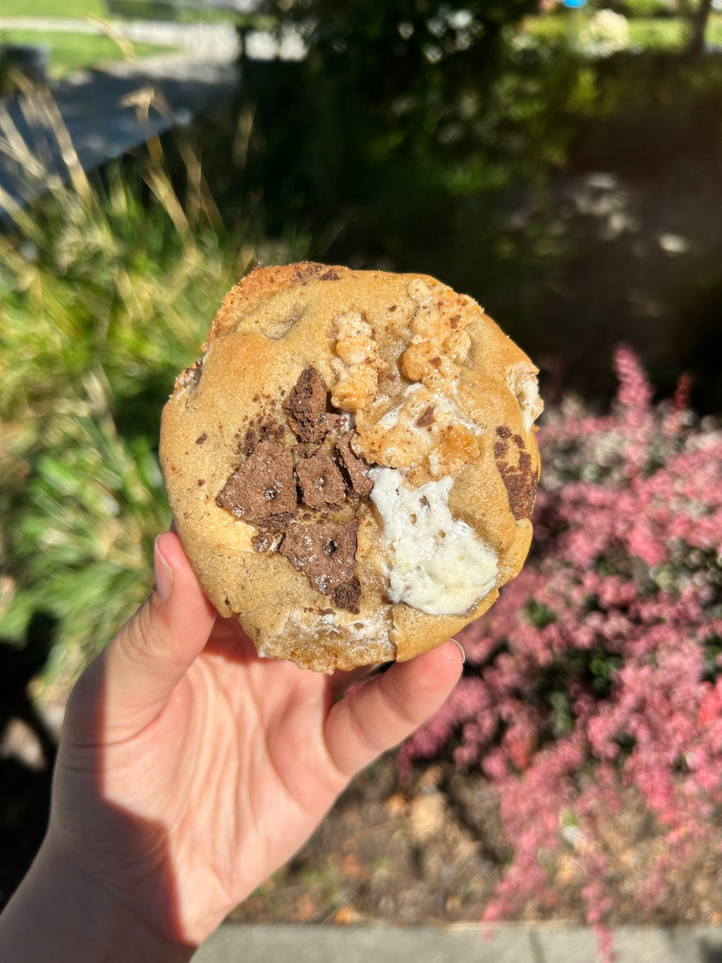 6 Pack Cookies Pre-Order for week of 11/17-11/23