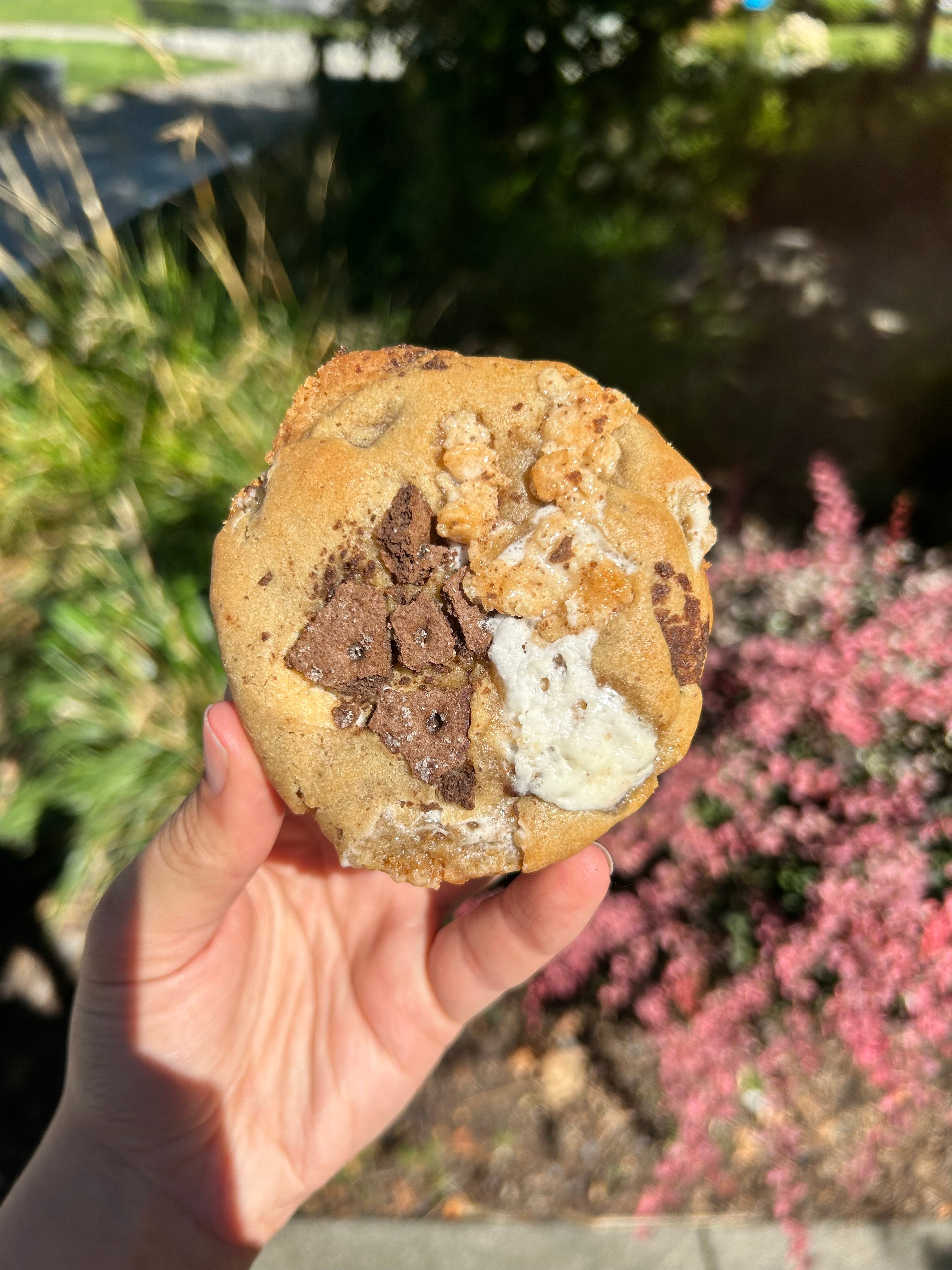 3 Pack Pre-Order Cookies for Week of 11/17