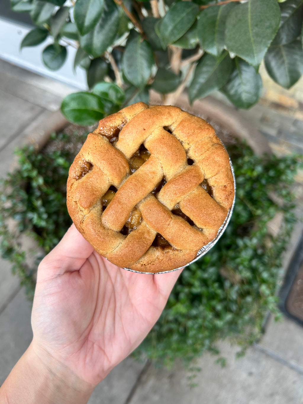 6 Pack Cookies Pre-Order for week of 11/17-11/23