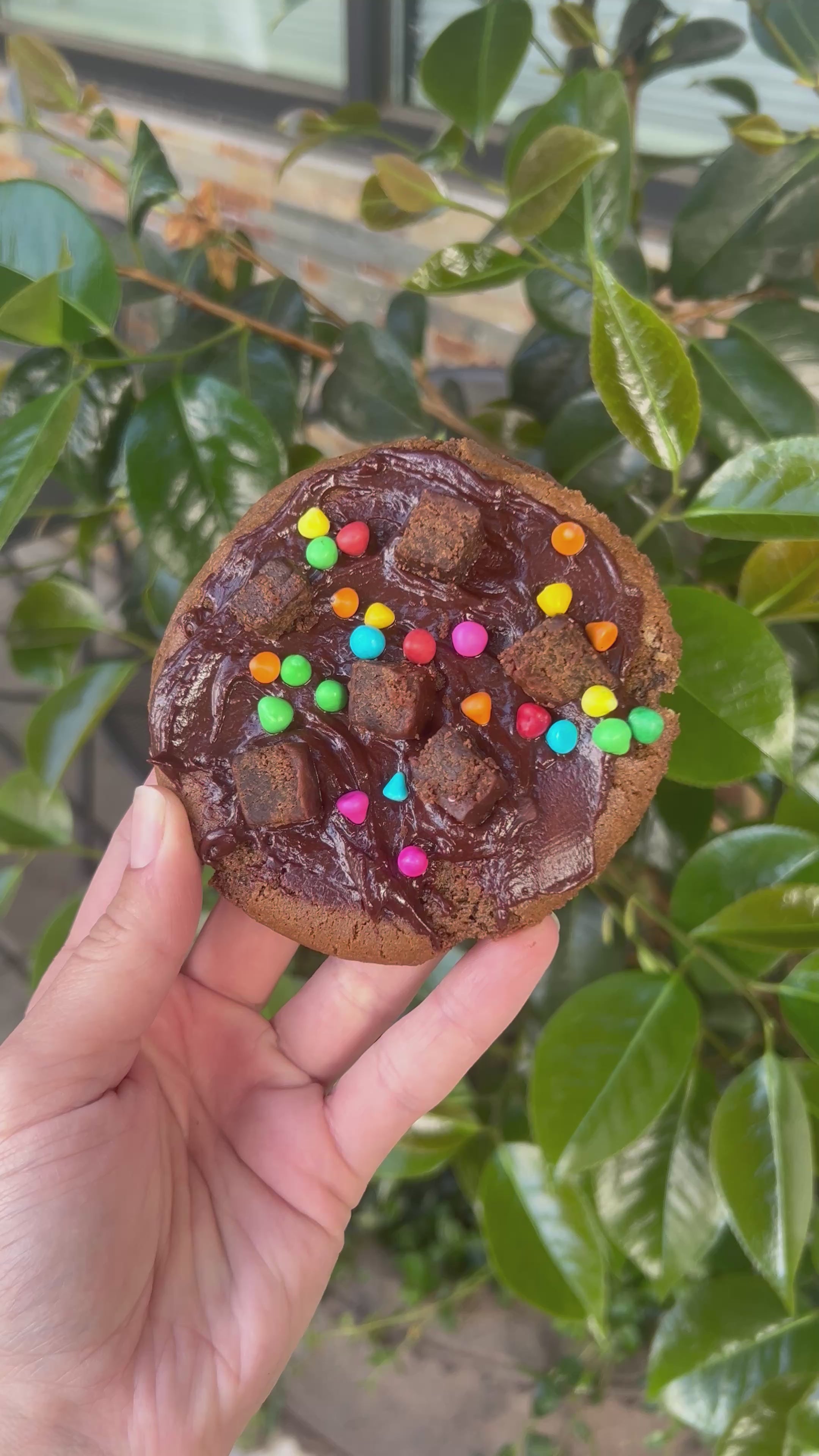 (For pickup only!) Cosmic Brownie Cookie