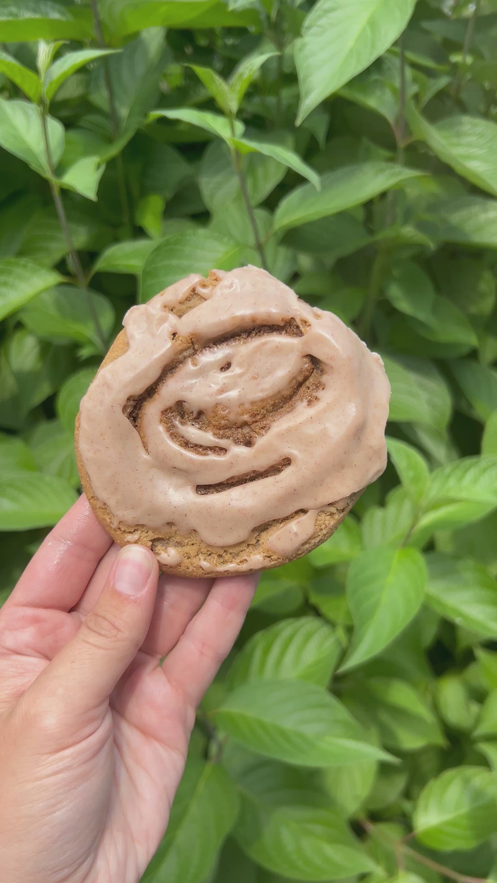(For Pickup Only) Cinnamon Roll Cookie