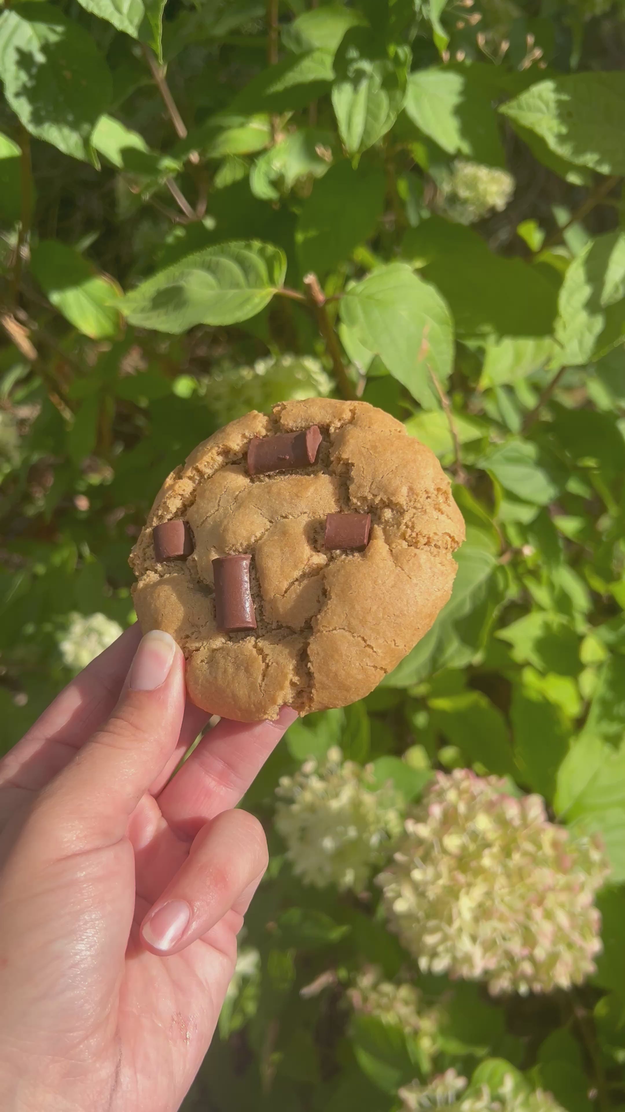 Gluten Free and Vegan Chocolate Chip