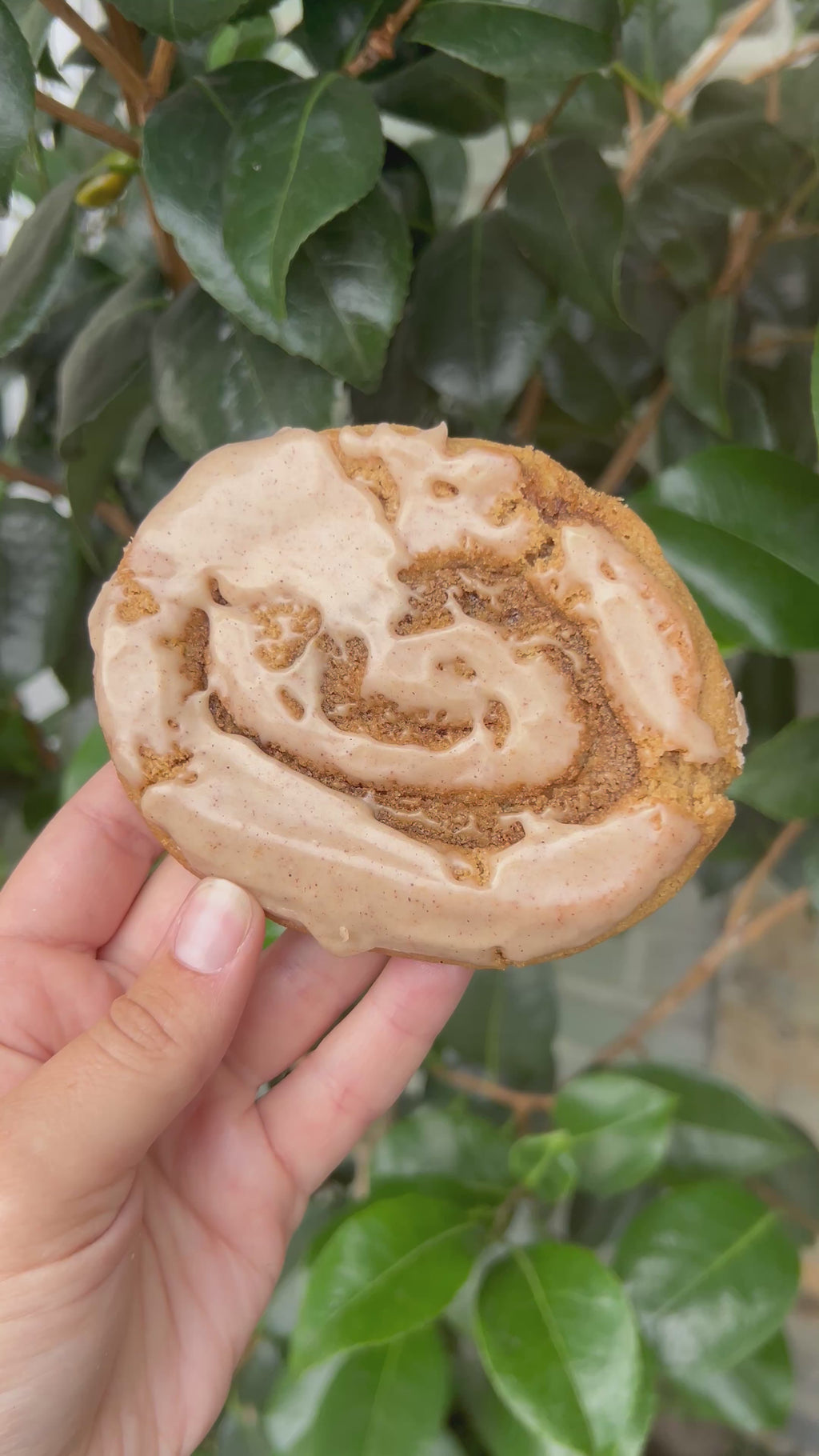 (For Pickup Only) Cinnamon Roll Cookie
