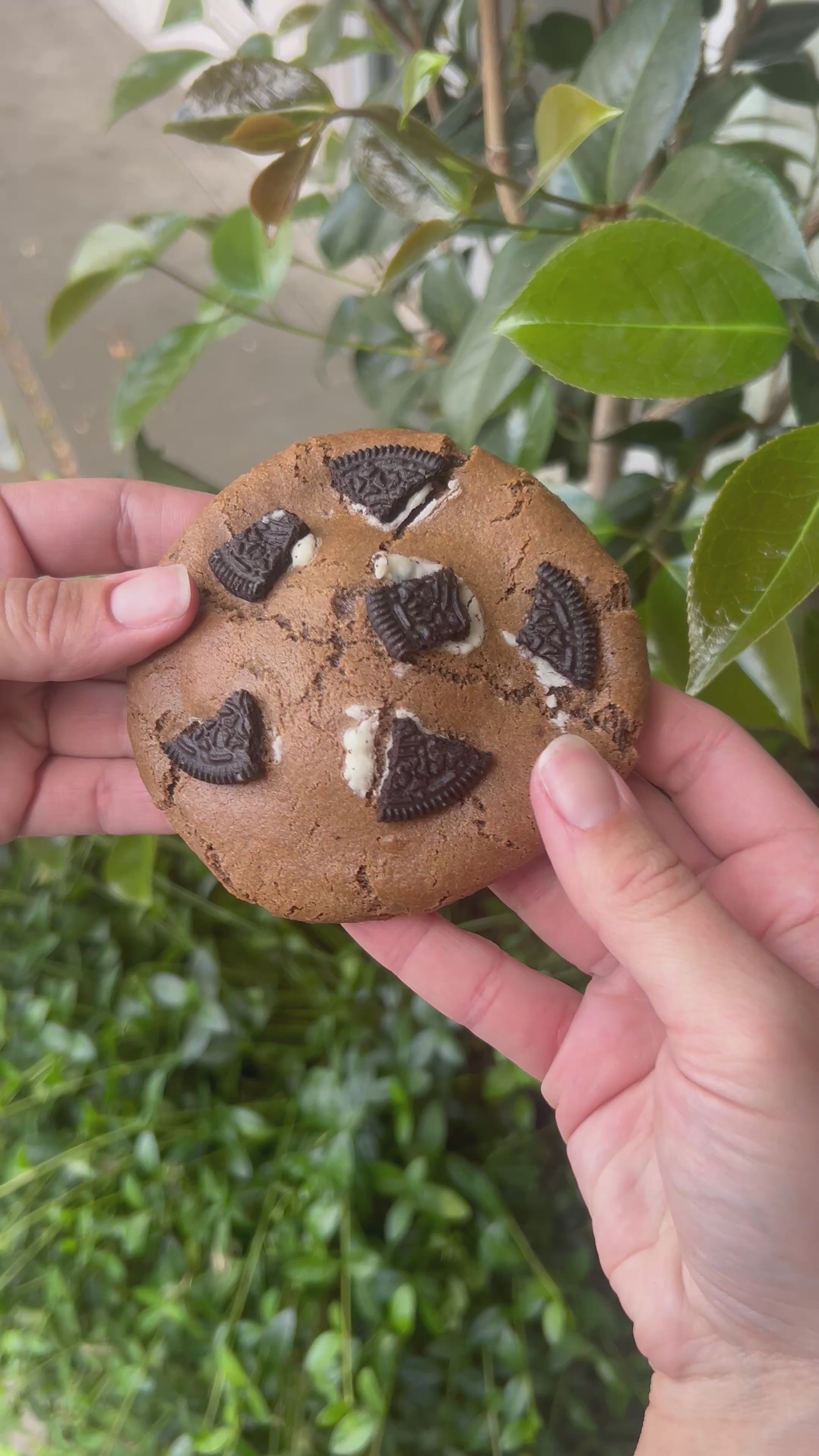 (For pickup only!) Oreo Cheesecake Stuffed Cookie