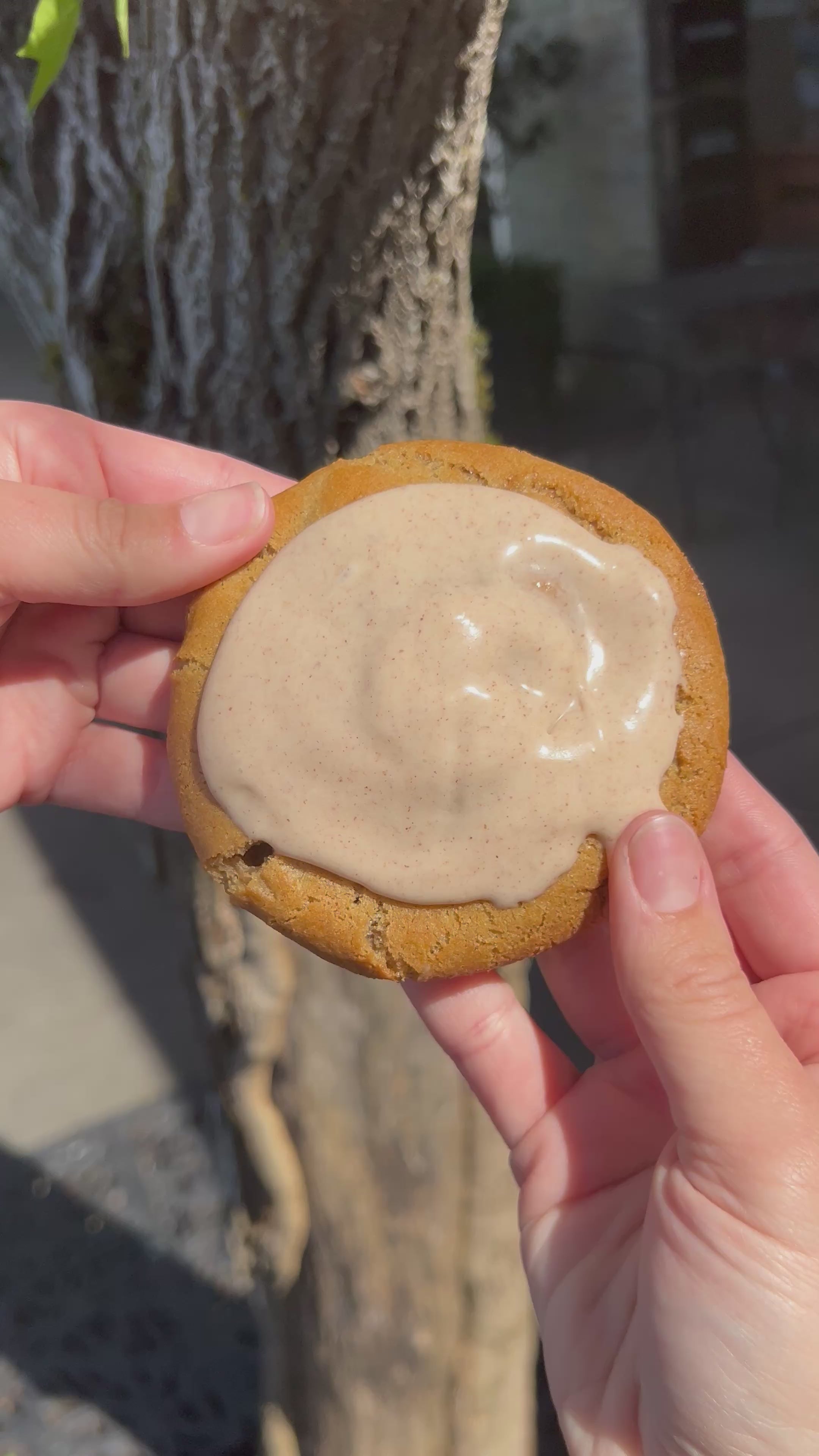 Brown Sugar Cinnamon Pop-Tart