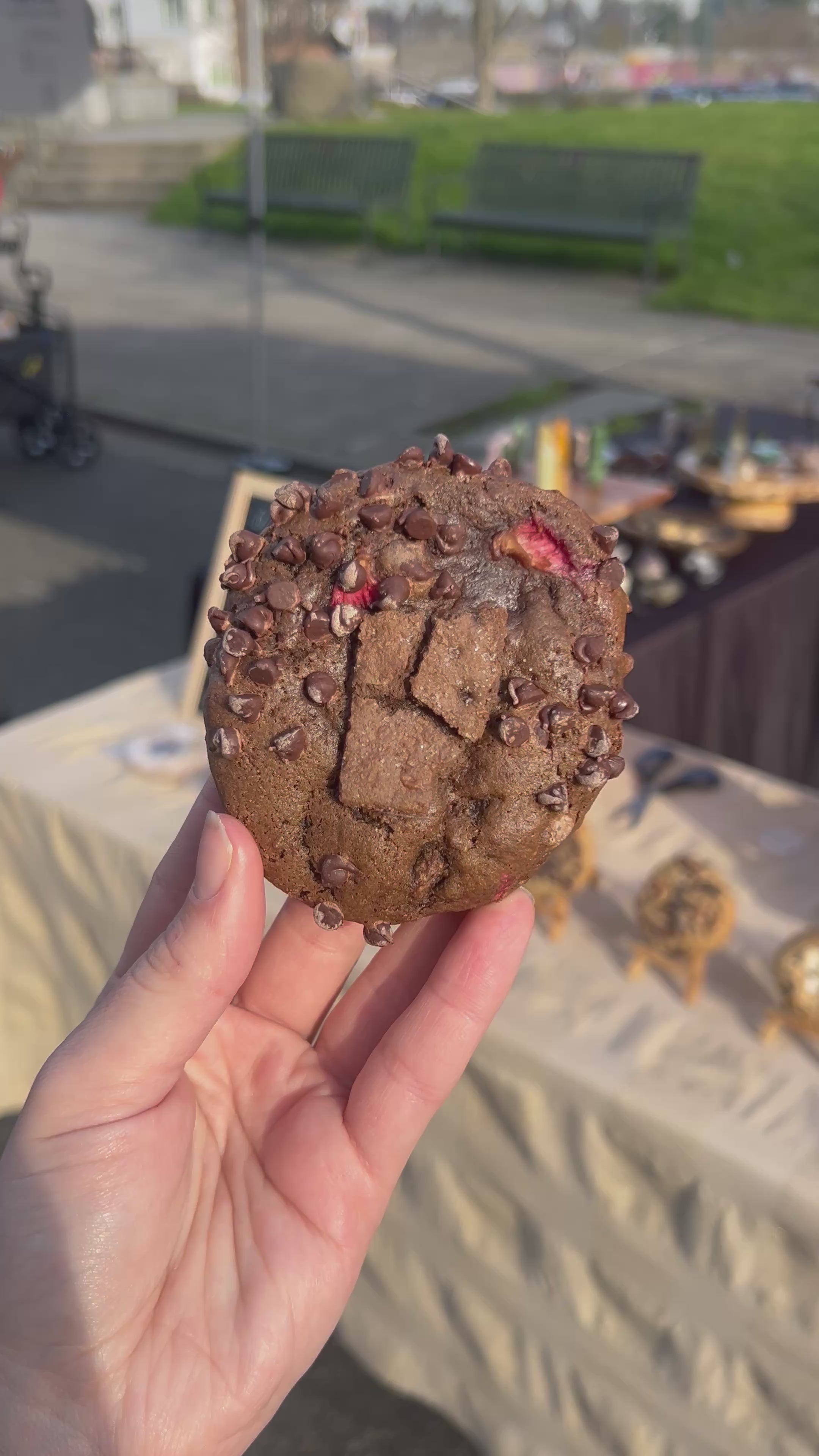 Chocolate Covered Strawberry