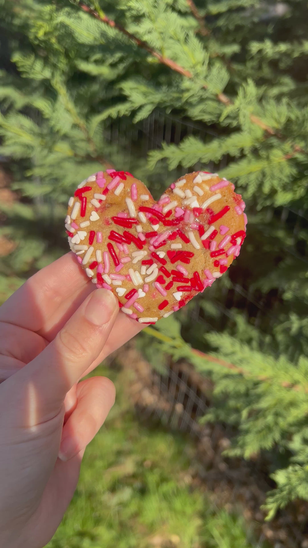 Valentine’s Day Box Pre-Order (Pick-up and delivery details in description)