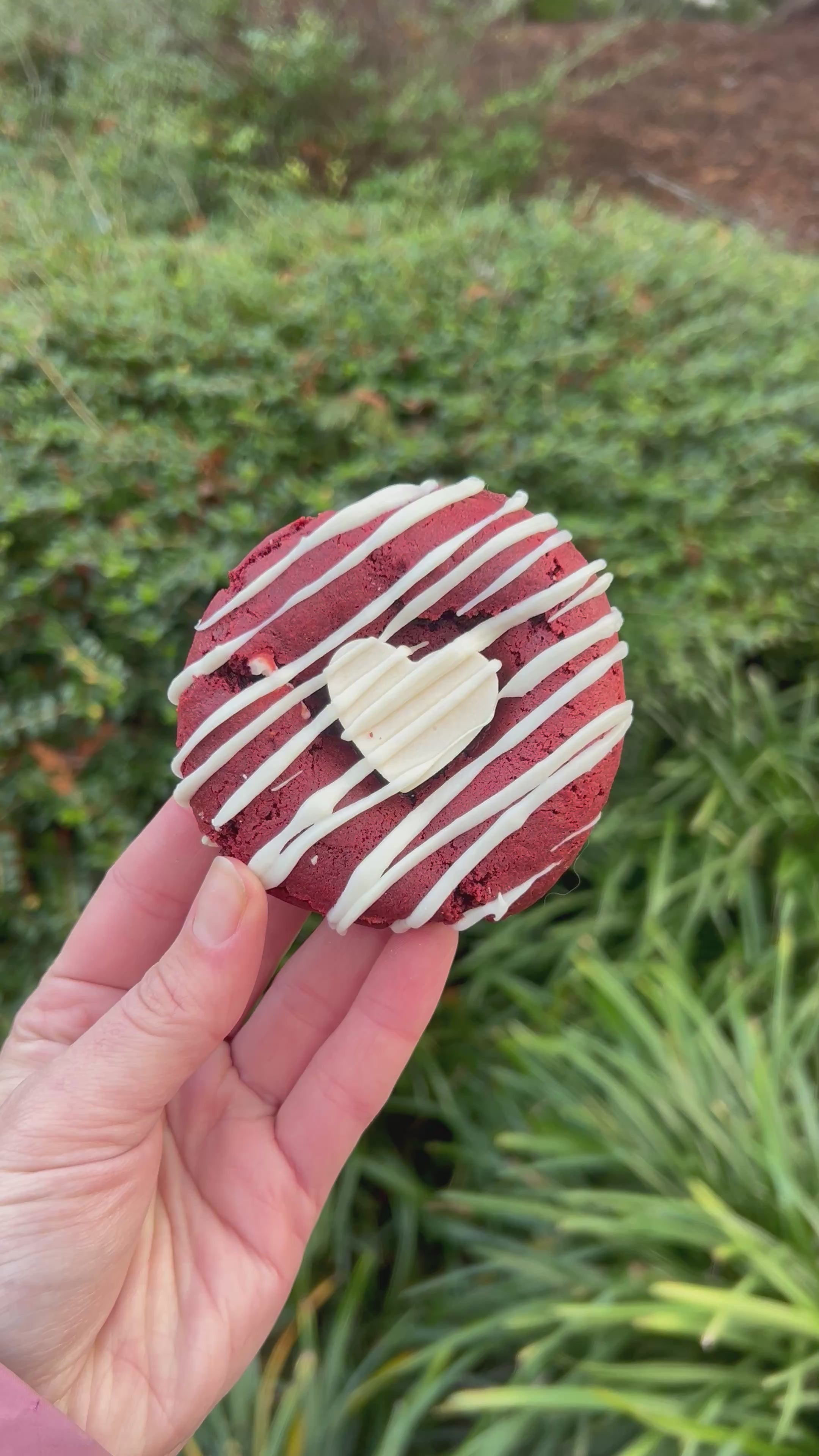 Valentine’s Day Box Pre-Order (Pick-up and delivery details in description)