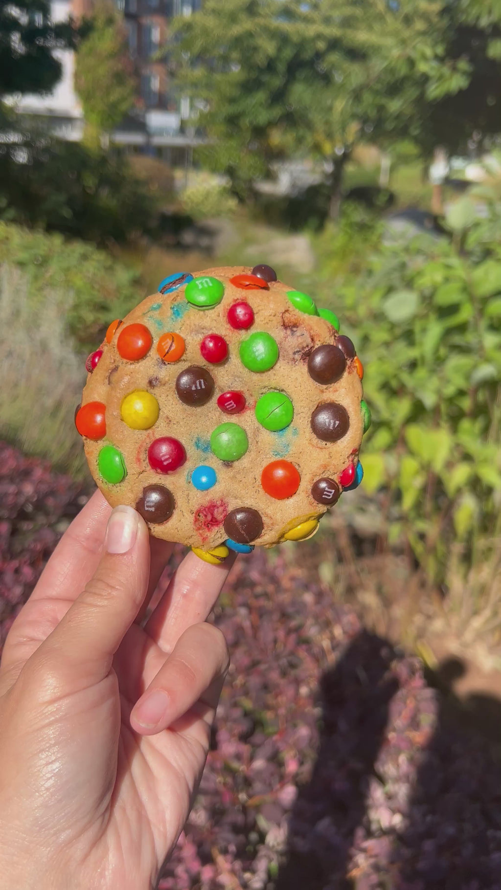 M&M cookie