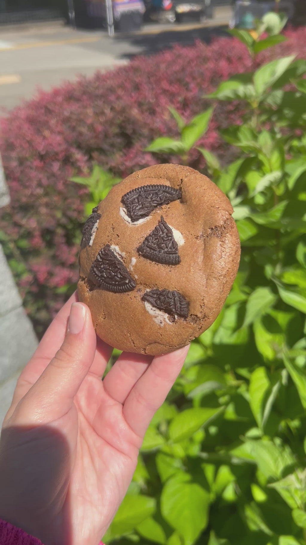 (For pickup only!) Oreo Cheesecake Stuffed Cookie