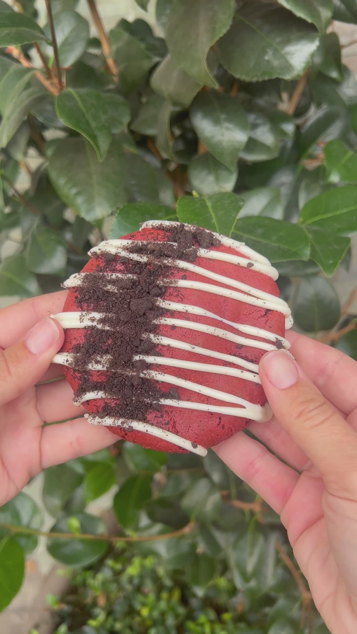 (For Pickup Only!) Oreo Velvet Cheesecake