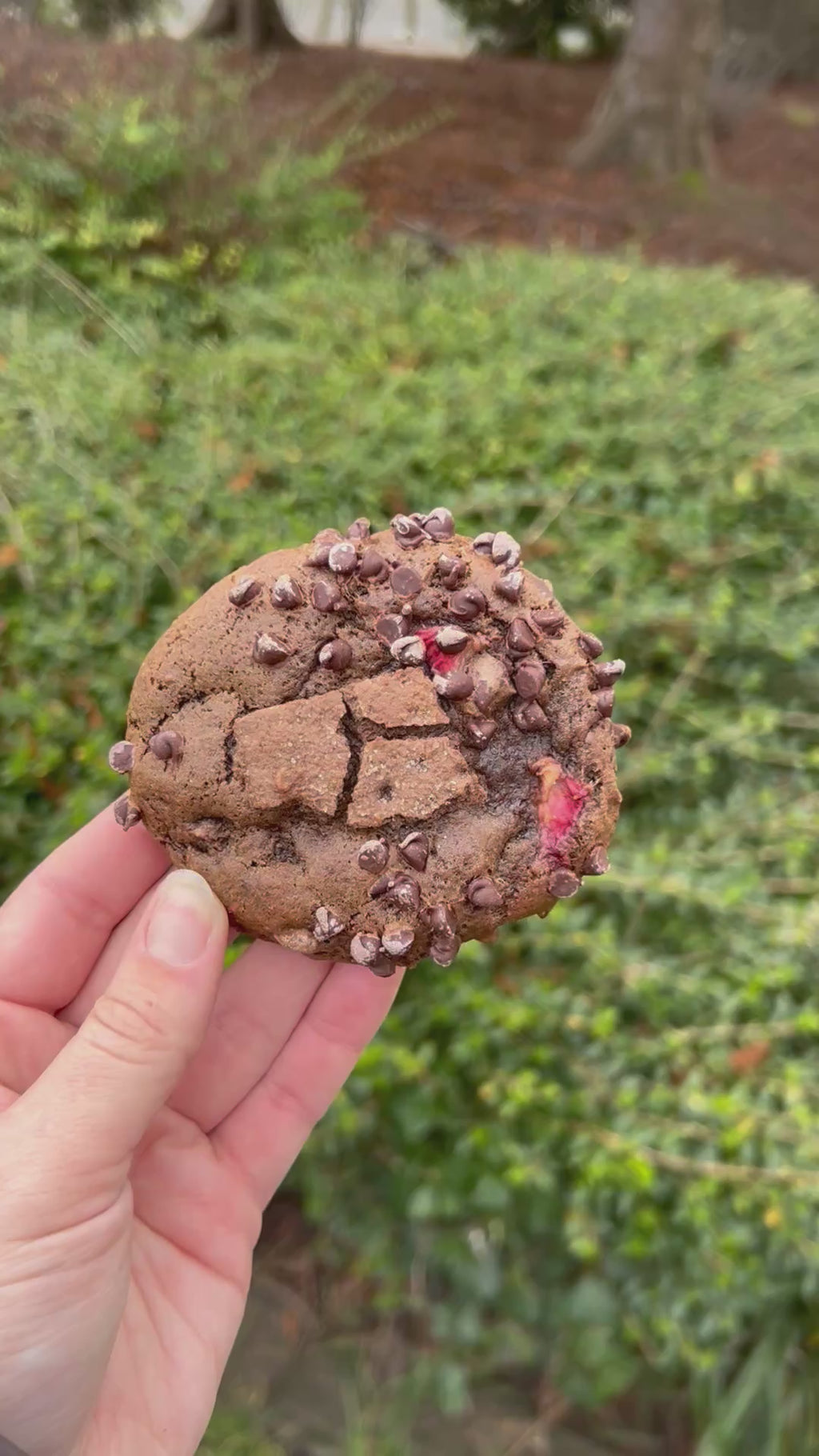 Valentine’s Day Box Pre-Order (Pick-up and delivery details in description)